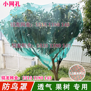 果树专用防鸟网罩樱桃网家庭防鸟用的网果园尼龙网防护罩葡萄琵琶