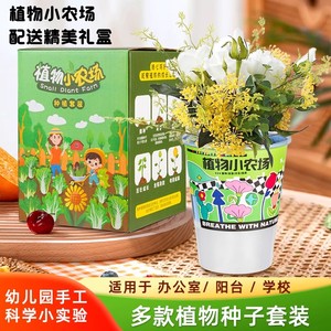 儿童种植小盆栽diy科学实验手工观察植物生长盲盒草莓水果幼儿园