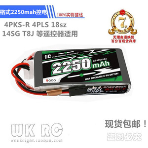 新款ACE格氏 4PKS-R 4PLS 18sz 14SG T8J 2250mAh 6.6V 锂铁电池