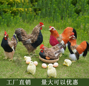 仿真羽毛鸡模型玩具公鸡母鸡孵蛋鸡摆件小鸡仔拍摄道具家居饰品
