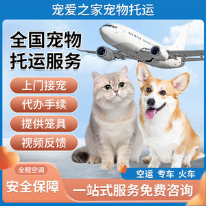 宠物托运服务全国猫狗空运专车火车防疫证国际北京上海广州深圳