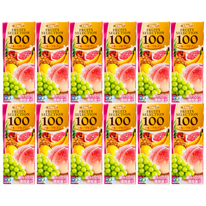 现货日本进口艾尔比水果混合味浓缩果汁儿童健康饮料品盒装200ml
