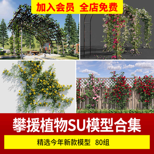 su垂直绿化攀爬藤本植物紫藤常春藤攀缘爬山虎垂吊藤蔓景观SU模型