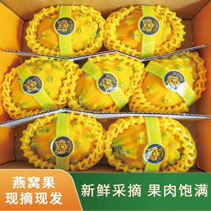 新鲜燕窝果麒麟果带刺火龙果黄龙果2斤4斤礼盒装大果黄心果