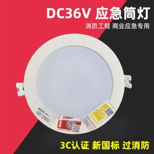 KLD领凯集中电源集中控制消防应急嵌入式筒灯射灯24V36V