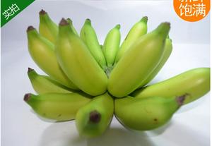 海南三亚新鲜热带水果野生香蕉小米焦拇指焦 帝王蕉皇帝蕉5斤包邮
