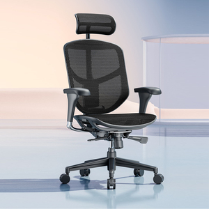 Ergonor保友金卓b 2代人体工学电脑椅久坐舒适办公椅家用电竞椅子
