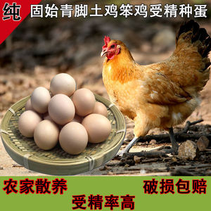 农家大别山固始笨鸡蛋新鲜散养土鸡农村受精蛋种蛋可孵化小鸡包邮