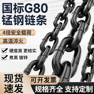 沪工 起重链条铁链子进口吊索具吊桥锁链G80锰钢链条工业葫芦铁链