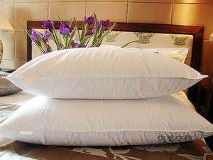 出口五星级酒店大枕头芯1个大、中号 进口纤维细绒 纯棉枕芯 超软