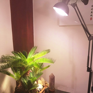 家用植物生长灯全光谱LED仿太阳室蔬菜水草花卉灯落地补光灯