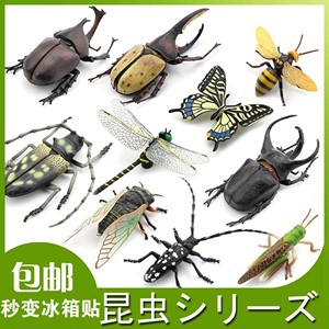 仿真标本模型玩具冰箱贴虫子昆虫甲虫蜜蜂蜻蜓独角仙天牛知了蝗虫