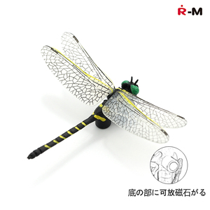 r-m仿真动物模型玩具小景装饰虫子摆件昆虫系列冰箱贴蜻蜓