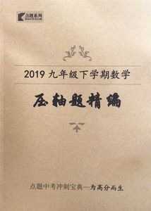 点题系列2019九年级下学期数学压轴题精编点题中考冲刺宝典-为高分而生9九年级下册数学压轴题汇编点题培优点题作业中考初三带答案