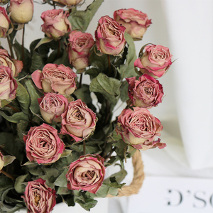 卡布奇诺玫瑰干花花束客厅摆设装饰摆件云南天然风干高级感真花