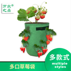 多口草莓种植袋大量现货悬挂式无纺布空中花园花球造型花盆吊篮