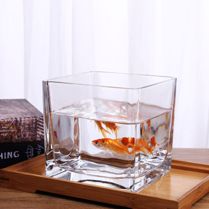 简约加厚玻璃透明正方形缸桌面摆件水培花器水养植物花盆大号花瓶