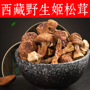 西藏林芝野生姬松茸菇新货天然无硫土特产松茸菌松茸干货营养煲汤