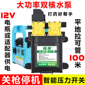 12V电动喷雾器水泵高压智能双泵大功率打药机配件改装洗车隔膜泵