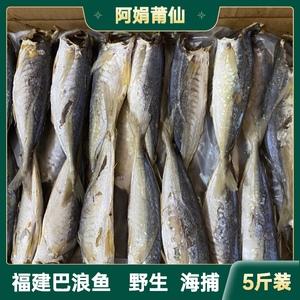 福建特产淡晒巴浪鱼干5斤新鲜咸鱼干鳀鱼小鱼干海味海鱼海鲜干货