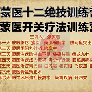 张洪瑞蒙医脐疗阴阳九针加开关疗法训练营视频加讲义两套合集