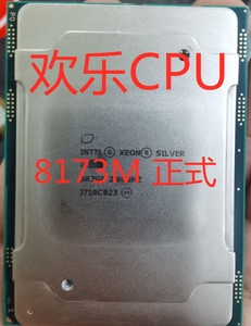 Intel/英特尔 志强 8173M正式版 2.0G28核56线程服务器CPU
