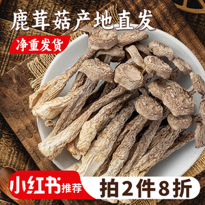 鹿茸菇干货500g正品旗舰店云南非特级野生脆脆菇类鹿茸菌新鲜蘑菇