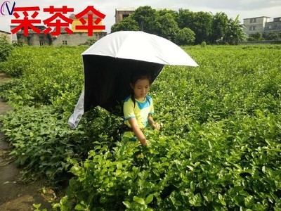 帽子伞头上下地短节钓鱼伞背带野钓旅游太阳伞便携式防晒伞摘茶叶