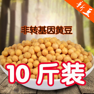 东北黄豆黑龙江农家自产黄豆榨豆浆生豆芽非转基因大豆10斤