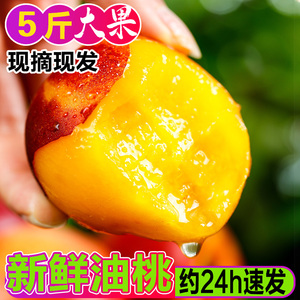 黄心油桃新鲜水果黄肉大桃子5斤整箱包邮当季孕妇蜜脆桃10水密桃