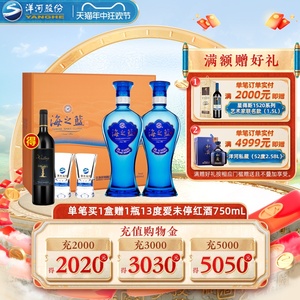 洋河蓝色经典 海之蓝42度480mL*2瓶装礼盒版 官方旗舰店 绵柔白酒