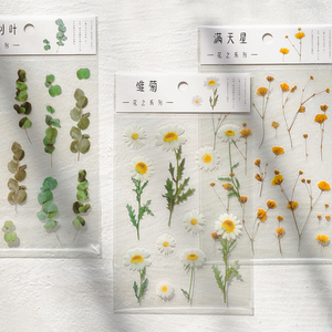 花之系列PET防水透明贴纸 雏菊小清新植物花朵日记装饰手帐素材贴