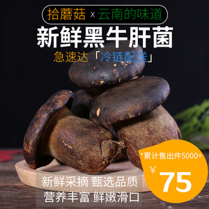 拾蘑菇 云南新鲜黑牛肝菌500g 食用菌野生菌红黄见手青火锅配食材