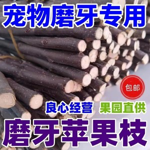 纯苹果枝磨牙棒玩具木树枝荷兰猪宠物零食仓鼠龙猫兔兔豚鼠金丝熊