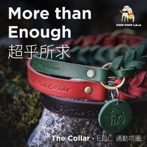 蕾拉爸爸强烈推荐·TheCollar·EDC通勤项圈 全粒面牛皮宠物项圈