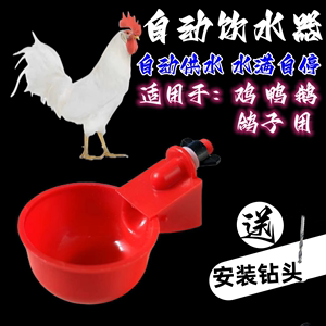 鸡鸭鹅自动水碗饮水器养鸡养殖设备喂鸽子水碗鸟饮水器鹌鹑鸡水槽