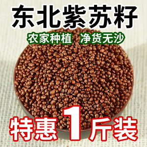 东北紫苏子种籽可种植烧烤料食用榨油生紫苏子粒紫苏种子