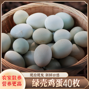 江西正宗农家散养新鲜营养孕妇鸡蛋乌鸡新鲜绿壳鸡蛋青壳蛋40枚