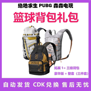 PUBG绝地求生皮肤篮球背包礼包套装1一级2二级3三级CDK兑换码端游