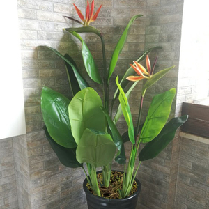 仿真天堂鸟植物客厅装饰摆件望鹤兰室内盆栽塑料假花造景绿植假树