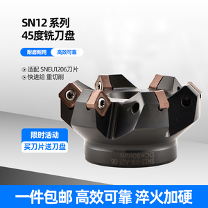 45度重切削铣刀盘 SNMX1205/SNEU1206 刀盘双面八角刀盘 50/63/80