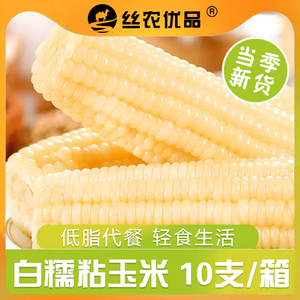 10支东北白糯粘玉米真空袋装新鲜即食黏玉米棒低脂0添加整箱苞谷