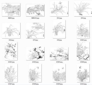 工笔画底稿 工笔花卉素材2# 兰花玉兰白描电子稿77幅打包 无彩图