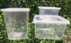 YC小方盒树地穴饲养盒蝎子幼体高端透明爬虫盒饲养盒