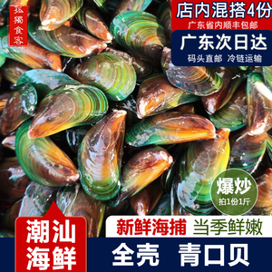 全壳青口贝翡翠贻贝海虹鲜活淡菜贝类潮汕海鲜水产带壳青匙1斤