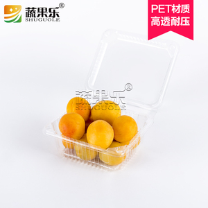 SGL-40西梅盒 奇异果盒子 一次性500g透明水果盒 杏子塑料包装盒