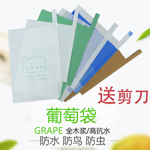 阳光玫瑰专用葡萄袋子蓝三色绿色晴王套袋纸袋防水防虫保护袋包邮