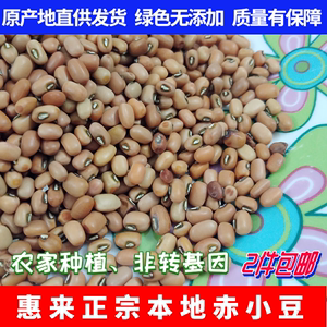 潮汕惠来农家自种赤豆500g新鲜赤豆非红豆炖薏米芡实粥赤小豆特产