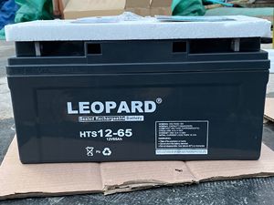 LEOPARD美洲豹蓄电池HTS12-65太阳能 12V65AH 直流屏 UPS电源 EPS