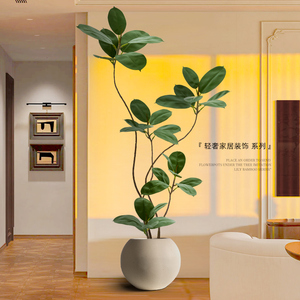 室内大型绿植大花盆客厅旺宅绿色植物盆栽办公室造型黑金刚橡皮树
